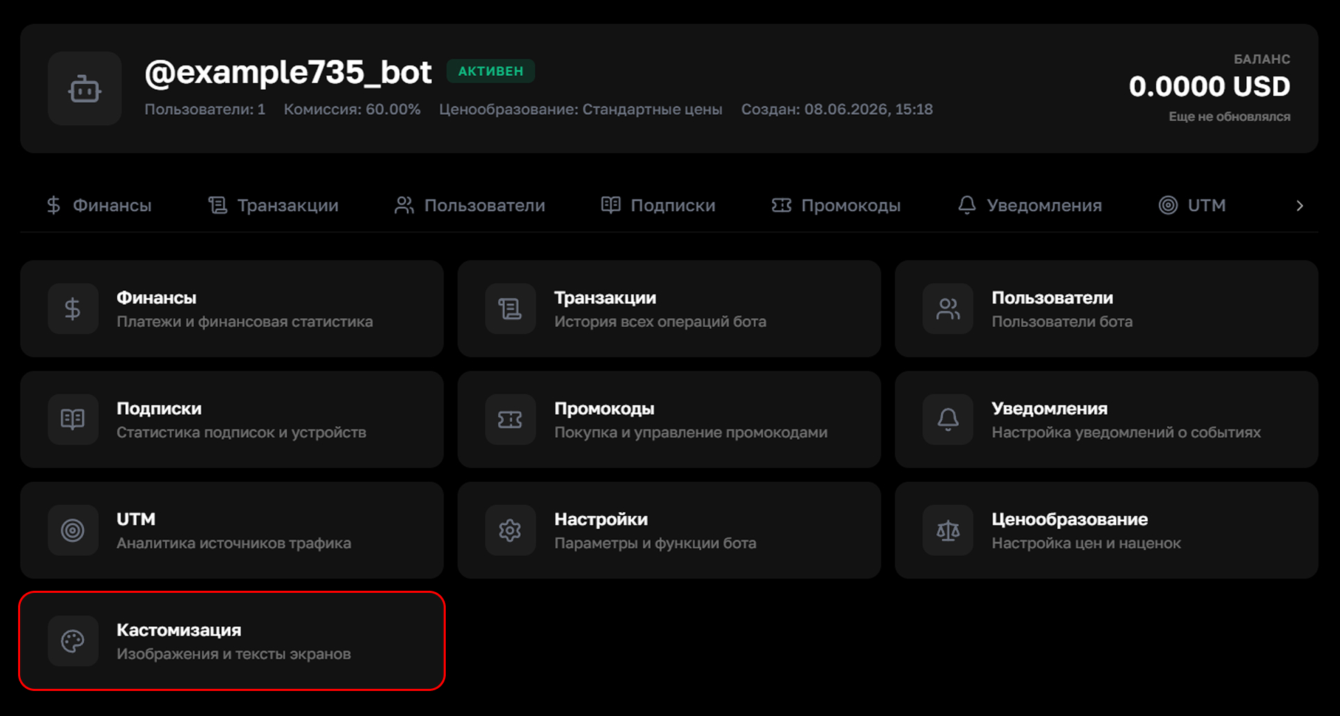 Раздел кастомизации